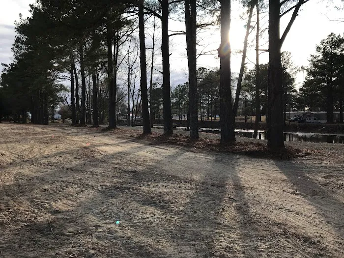 Treeside RV Park Picture 4