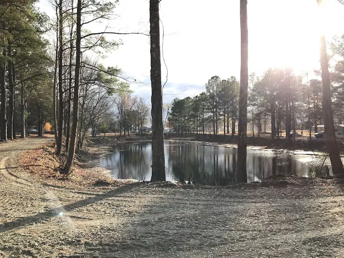 Treeside RV Park Picture 6