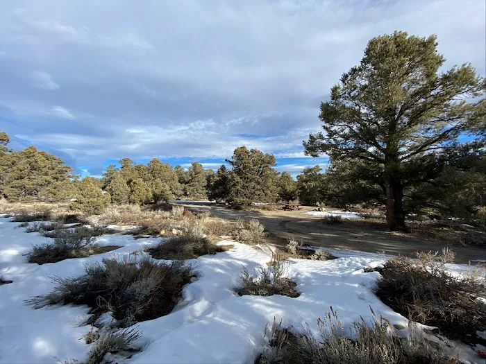 Holiday Campground Picture 1