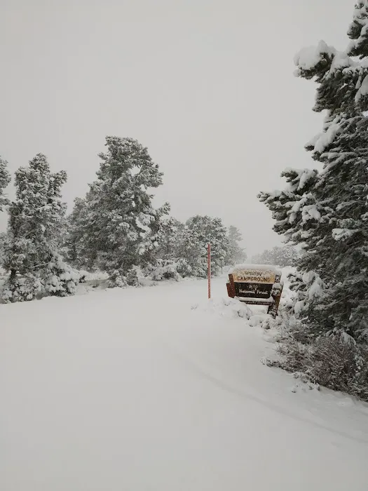 Holiday Campground Picture 5