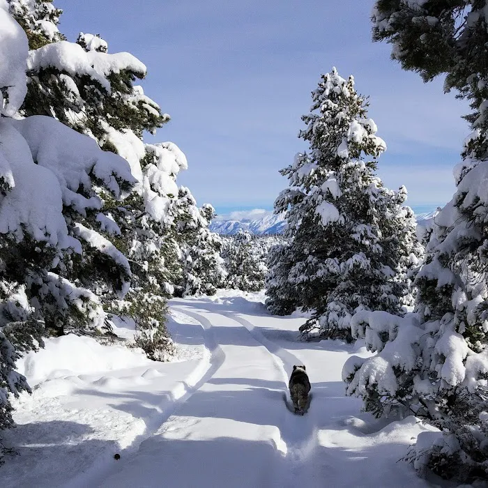 Holiday Campground Picture 6