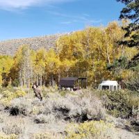 McGee Creek - Forest Service Campground ico