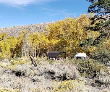 McGee Creek - Forest Service Campground