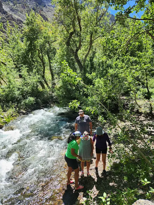 McGee Creek - Forest Service Campground Picture 9