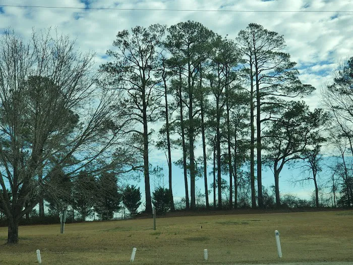 Pierce RV Park Picture 3