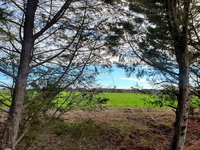 Pierce RV Park Picture 4