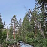 French Camp Campground