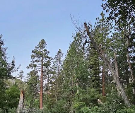 French Camp Campground