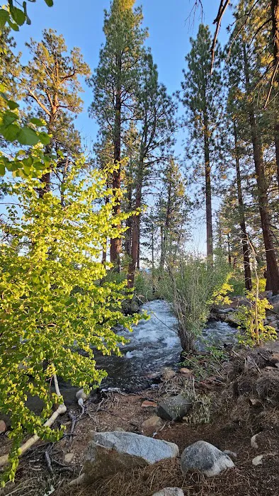 French Camp Campground Picture 6