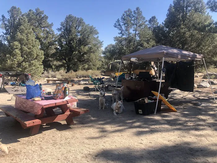 French Camp Campground Picture 7