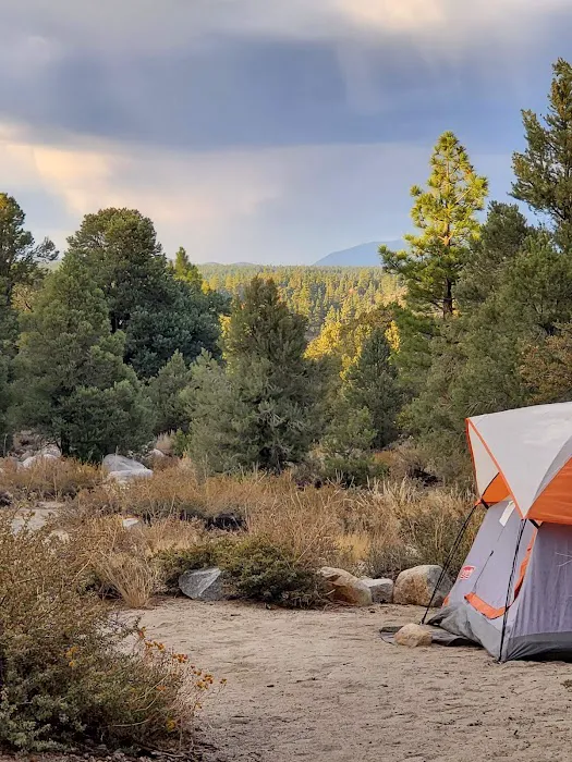 French Camp Campground Picture 5