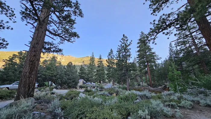 French Camp Campground Picture 10