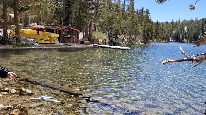 Crowley Lake BLM Campground Picture 8