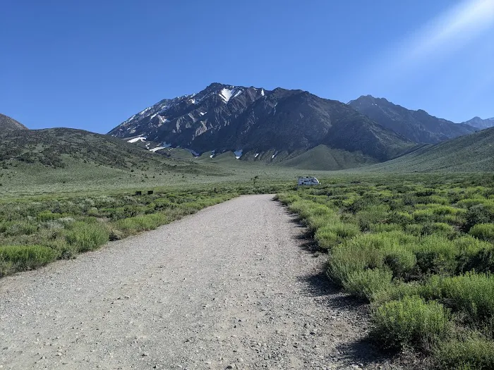 Crowley Lake BLM Campground Picture 9