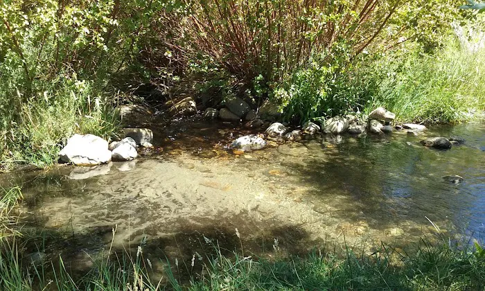 Horton Creek Picture 9