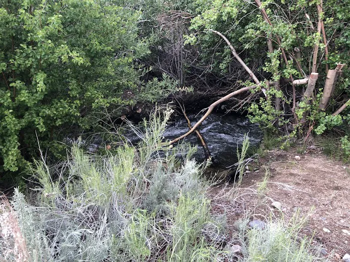 Horton Creek Picture 5