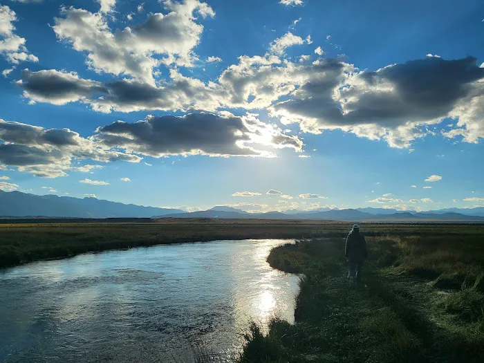 Brown's Owens River Campground Picture 5