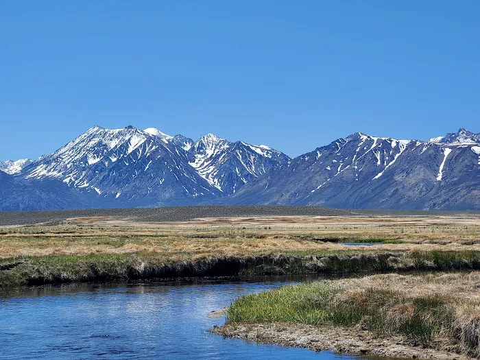 Brown's Owens River Campground Picture 8