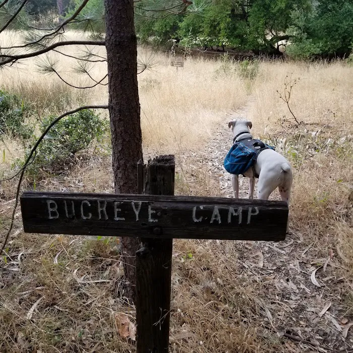 Buckeye Campground Picture 2