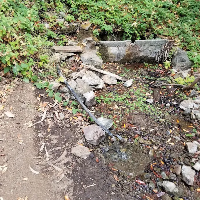 Buckeye Campground Picture 5