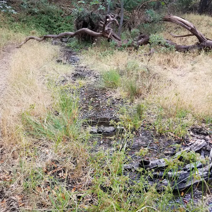 Buckeye Campground Picture 3
