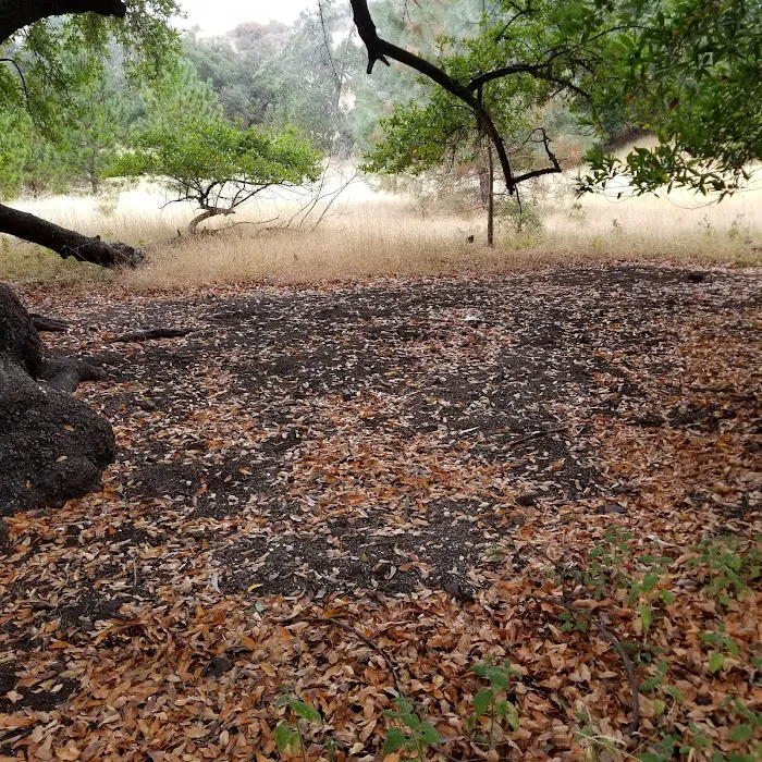 Buckeye Campground Picture 4