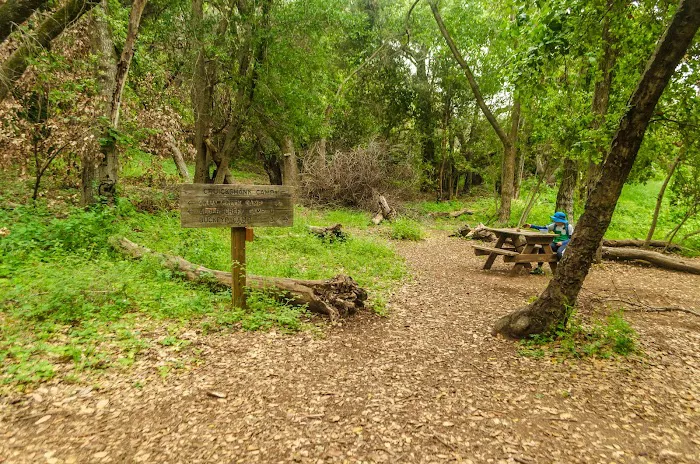 Upper Cruickshank Campground Picture 1