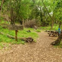Upper Cruickshank Campground ico