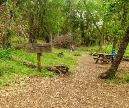 Upper Cruickshank Campground