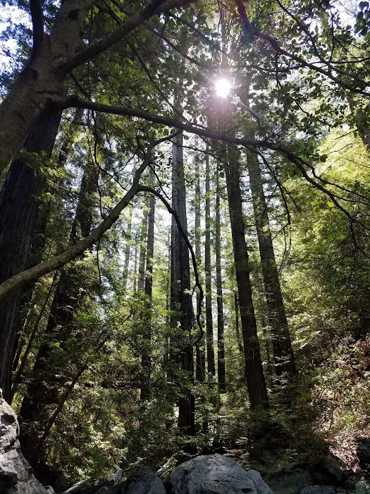 Villa Campground Picture 3