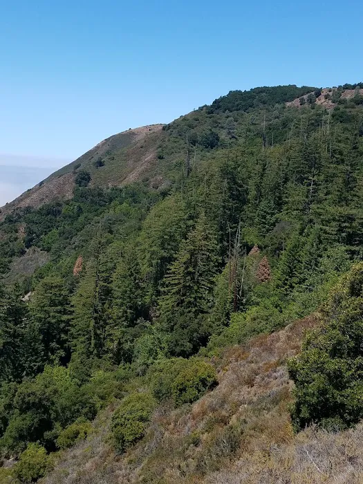 Villa Campground Picture 1