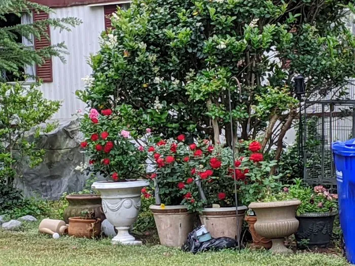 Westwood Mobile Home Community Picture 8