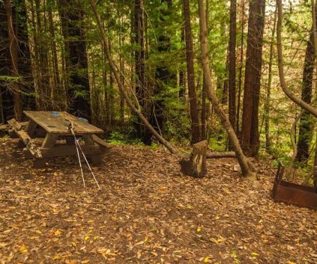 Lower Cruickshank Campground