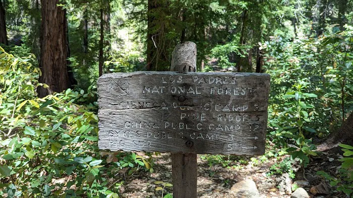 Redwood Camp Picture 2