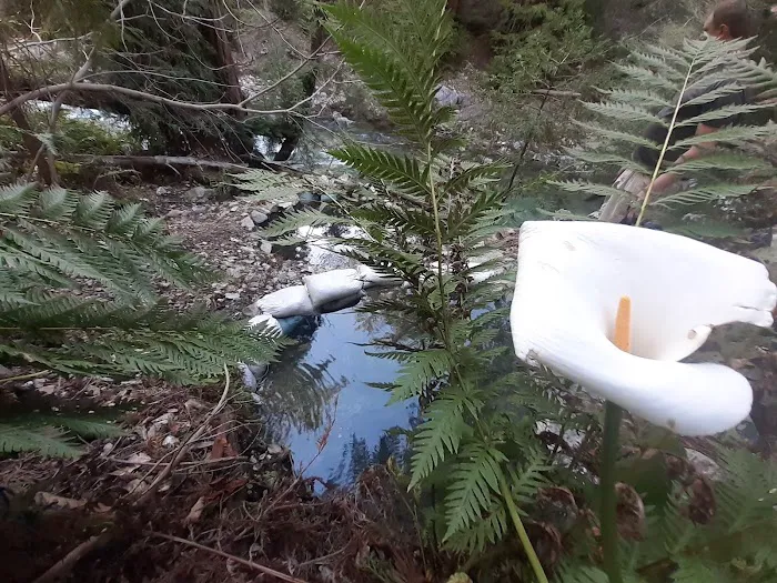 Sykes Hot Springs Campground Picture 5