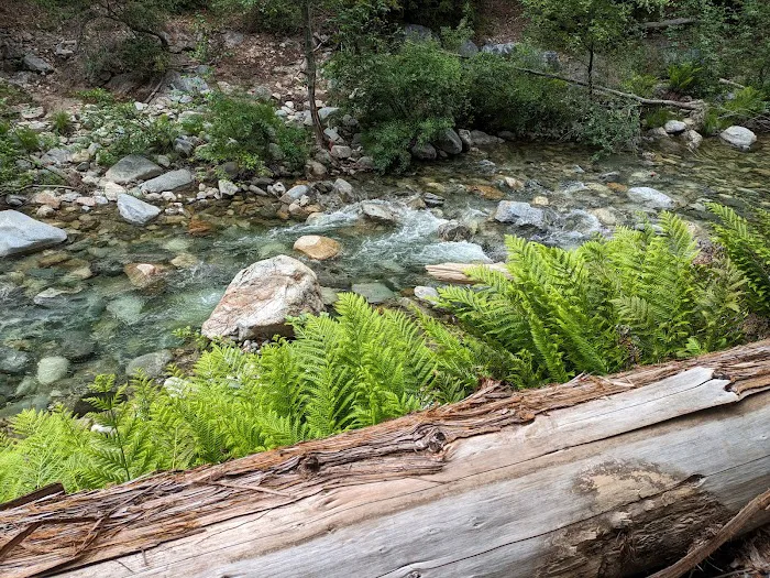 Sykes Hot Springs Campground Picture 10