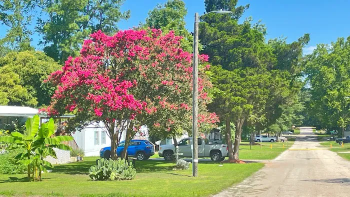 Farmington Hills Picture 2