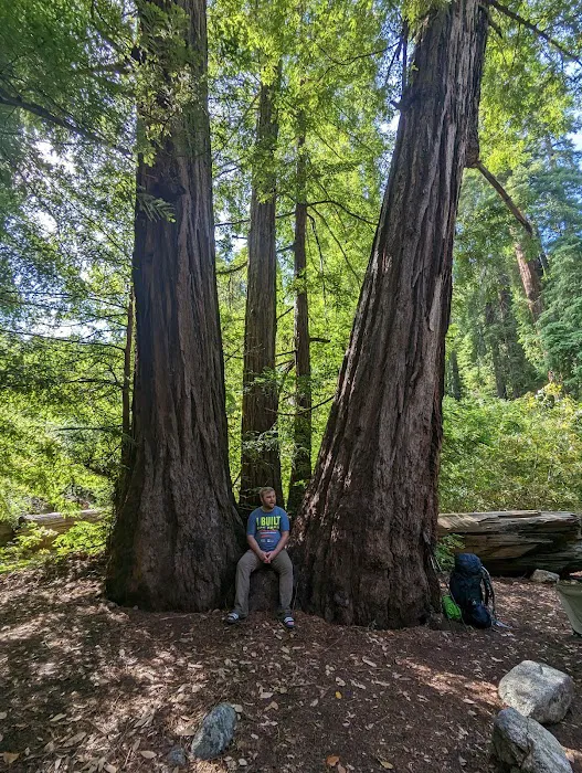 Barlow Flat Campground Picture 3