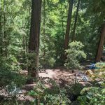 Barlow Flat Campground