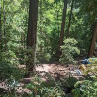 Barlow Flat Campground ico