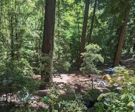 Barlow Flat Campground