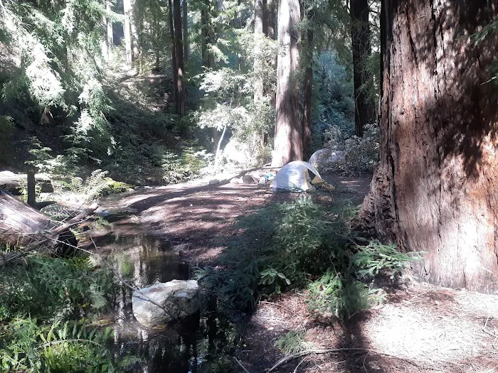 Barlow Flat Campground Picture 5