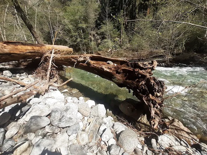 Barlow Flat Campground Picture 10