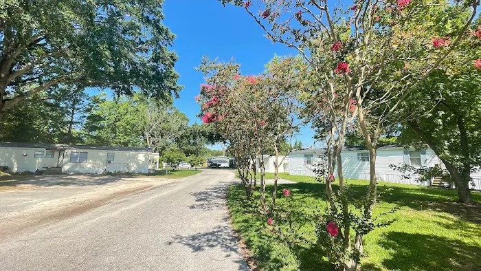 Brook Valley Picture 1