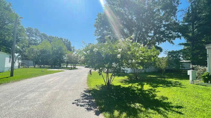 Brook Valley Picture 5