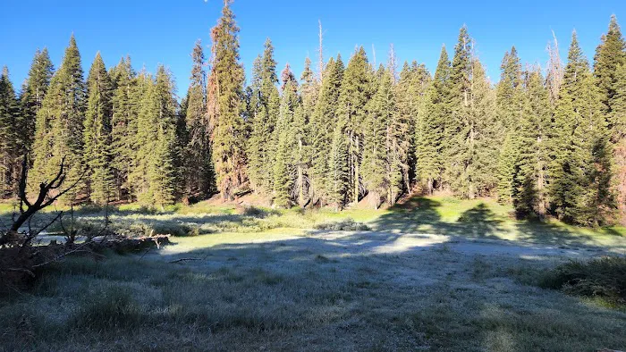 Quaking Aspen Campground Picture 3