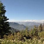 Quaking Aspen Campground