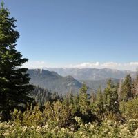 Quaking Aspen Campground ico