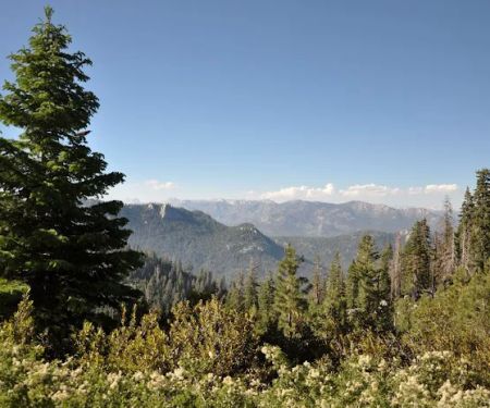 Quaking Aspen Campground