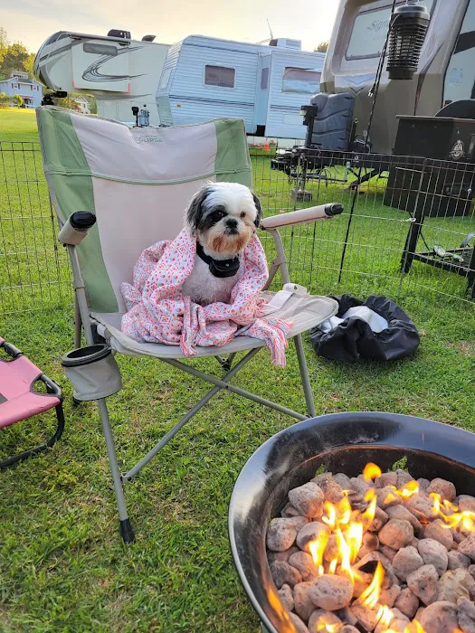 Rons RV Campground Picture 4